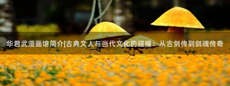 omofun下载官方正版网站：华君武漫画馆简介|古典文人与当代文化的碰撞：从古剑传到剑魂传奇