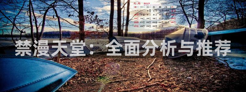 omofun 动漫：禁漫天堂：全面分析与推荐