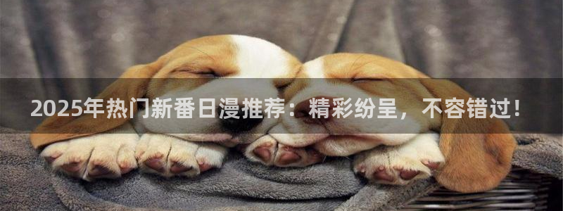 omofun动漫动画：2025年热门新番日漫推荐：精彩纷呈，不容错过！