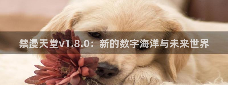 omofun动漫官网入口网址：禁漫天堂v1.8.0：新的数字海洋与未来世界