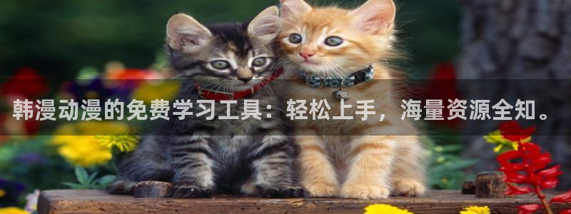 omofun动漫下载最新版：韩漫动漫的免费学习工具：轻松上手，海量资源全知。