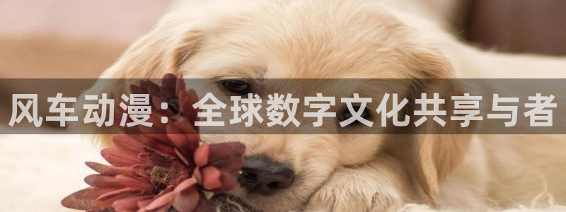 omofun安卓：风车动漫：全球数字文化共享与者