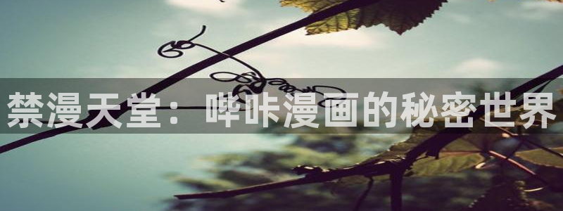 omofun全新：禁漫天堂：哔咔漫画的秘密世界