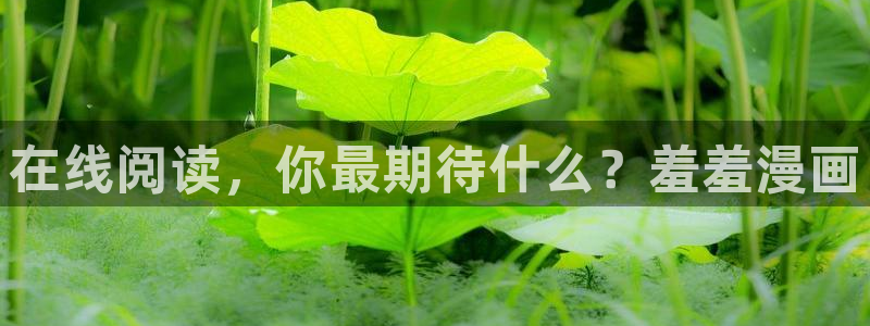 omofun动漫共和国下载：在线阅读，你最期待什么？羞羞漫画