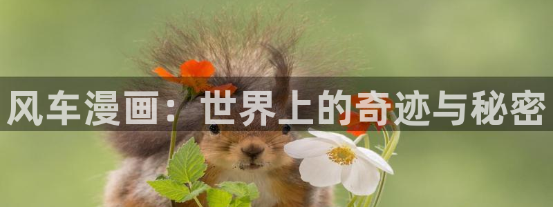 omofun苹果：风车漫画：世界上的奇迹与秘密