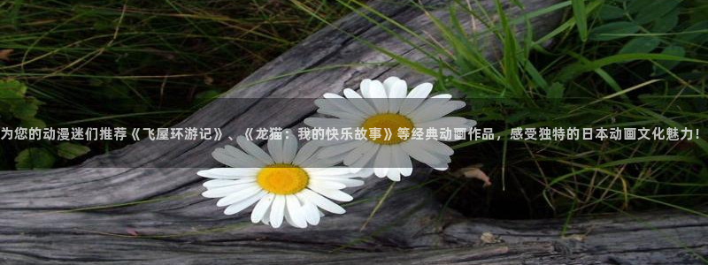 omofun的官网：为您的动漫迷们推荐《飞屋环游记》、《龙猫：我的快乐故事》等经典动画作品，感受独特的日本动画文化魅力！
