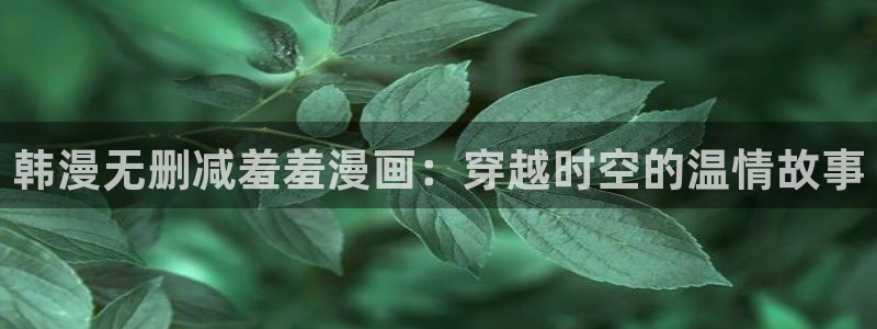 omofun 翻译：韩漫无删减羞羞漫画：穿越时空的温情故事