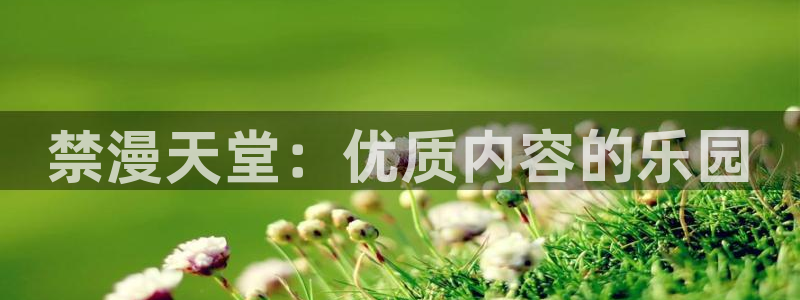 omofun下载ios苹果：禁漫天堂：优质内容的乐园