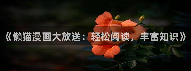 omofun.2xyz：《懒猫漫画大放送：轻松阅读，丰富知识》