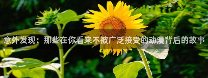 下载omofun动漫：意外发现：那些在你看来不被广泛接受的动漫背后的故事