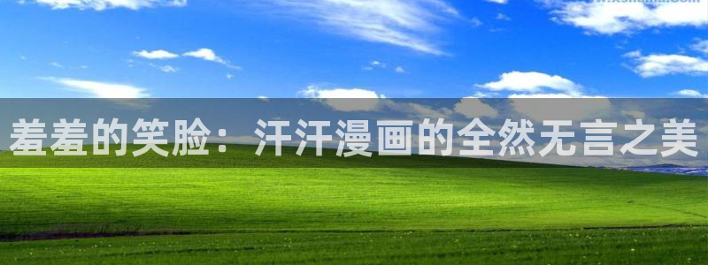 omofun 宕卧略：羞羞的笑脸：汗汗漫画的全然无言之美