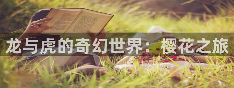 酷漫屋网站入口：龙与虎的奇幻世界：樱花之旅