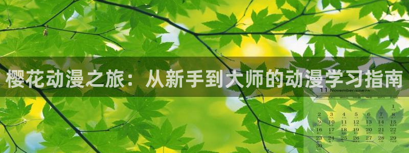 omofun动漫官网入口网址：樱花动漫之旅：从新手到大师的动漫学习指南