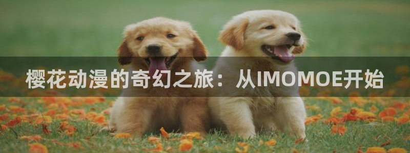 omofun最新下载：樱花动漫的奇幻之旅：从IMOMOE开始