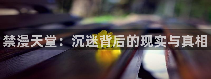 omofun 网站：禁漫天堂：沉迷背后的现实与真相