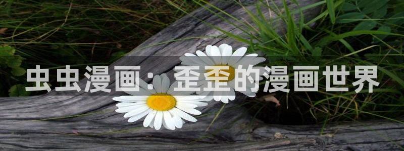 动漫软件omofun：虫虫漫画：歪歪的漫画世界