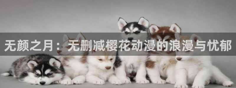 omofun动漫网官网：无颜之月：无删减樱花动漫的浪漫与忧郁