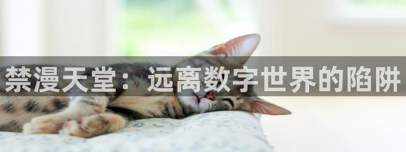 omofun.worko：禁漫天堂：远离数字世界的陷阱