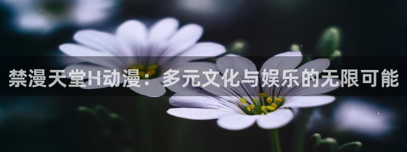 omofun.2xyz：禁漫天堂H动漫：多元文化与娱乐的无限可能