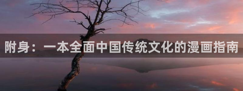 omofun苹果自签：附身：一本全面中国传统文化的漫画指南